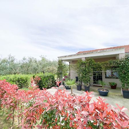 Olive Apartment Podgorica Exterior photo