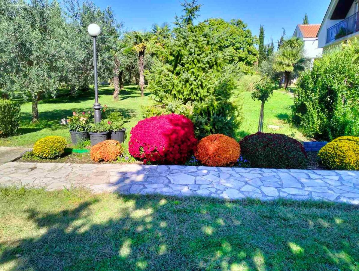 Olive Apartment Podgorica Exterior photo