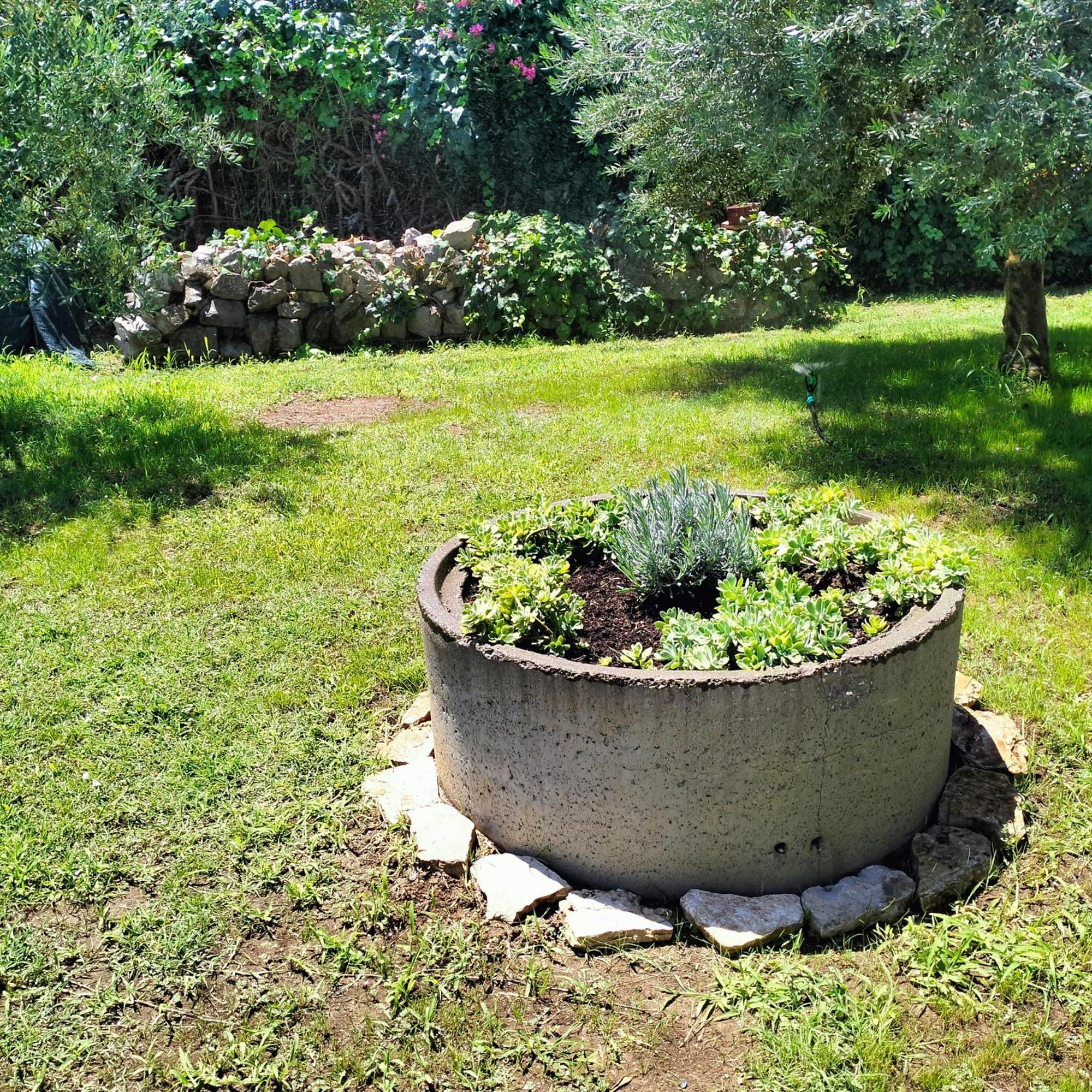 Olive Apartment Podgorica Exterior photo