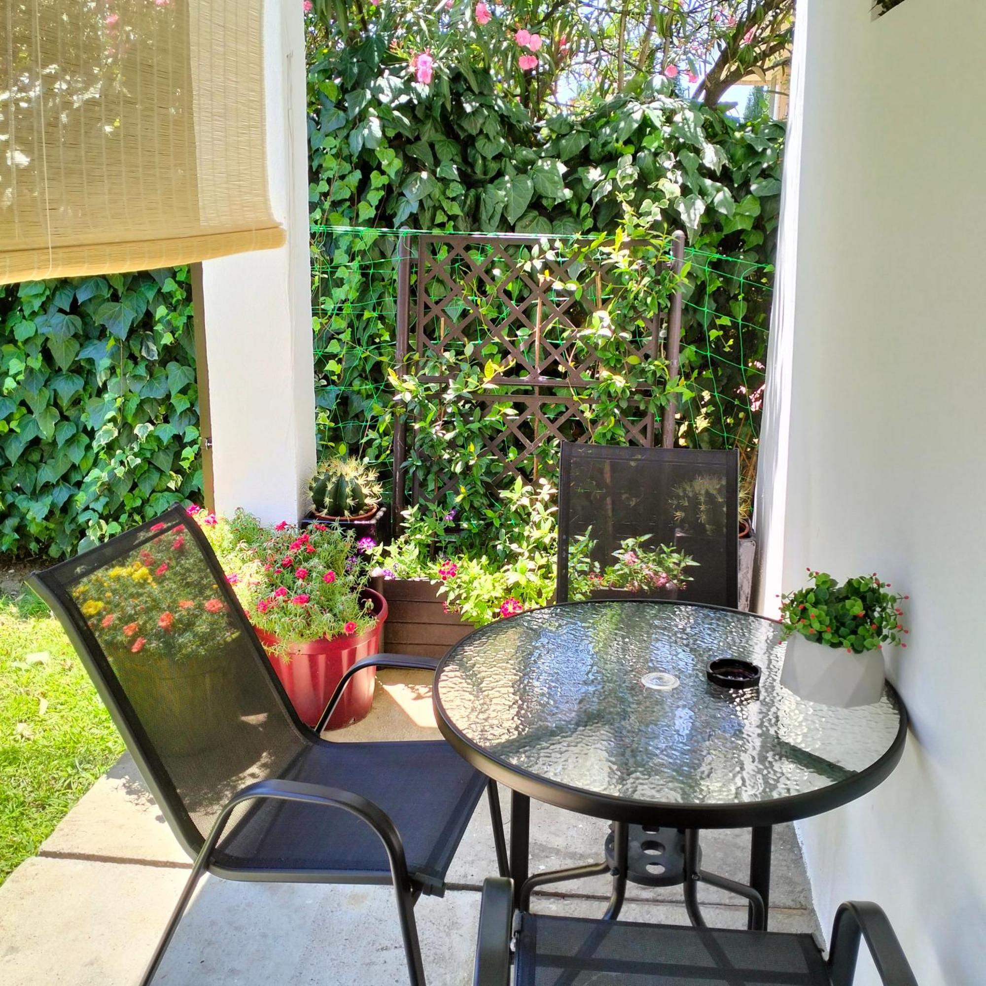 Olive Apartment Podgorica Exterior photo